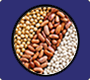 Aadhaar Seeded  Aadhaar Not Seeded