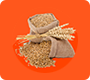 Fair Price Shops(FPS) (Ration)
