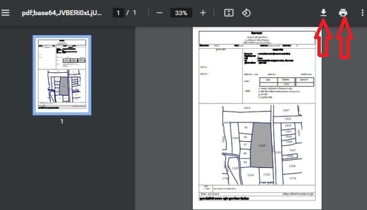 विस्तृत भू नक्शा